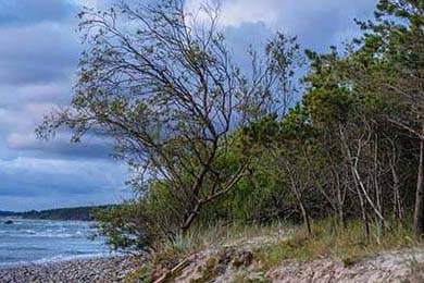 政府资金投入助力威尔士青训体系建设，威尔士2022